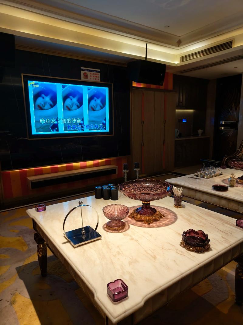 临汾商务ktv夜场商务ktv宣传精英选择-永和县ktv预订